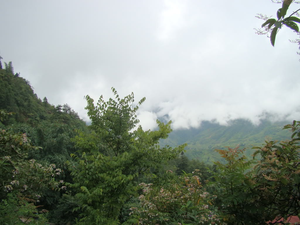 DSC09488.jpg