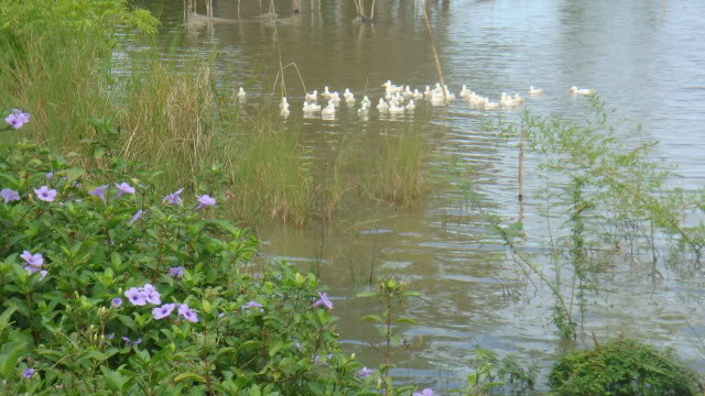 DSC05707.jpg