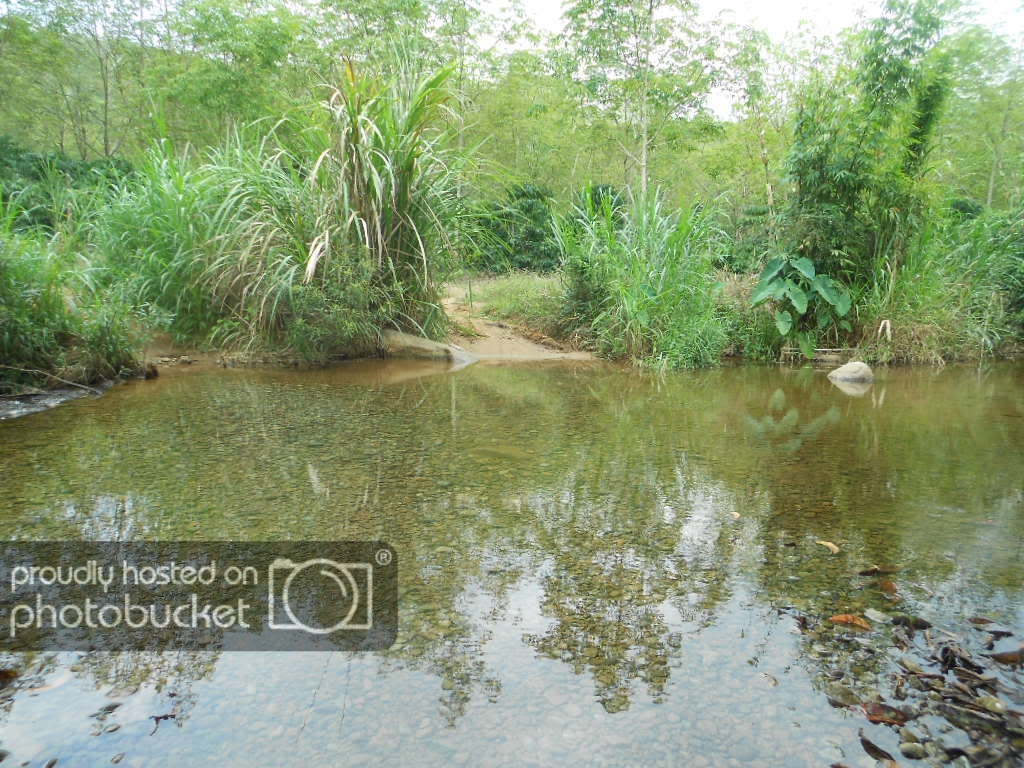 DSCN9749.jpg