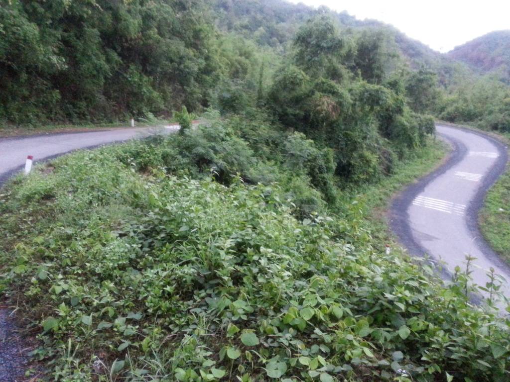 20130601_175421_zpscce90816.jpg