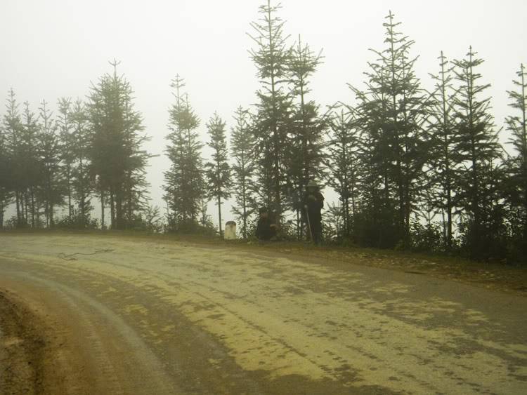 DSCN7022.jpg