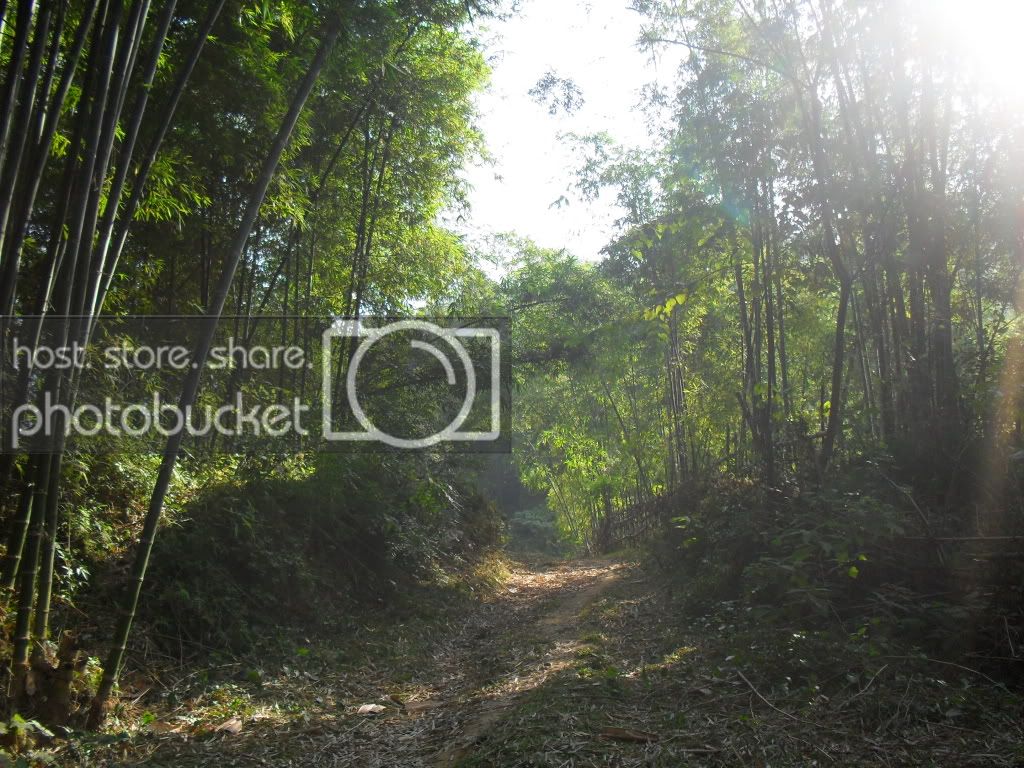 SDC10584.jpg