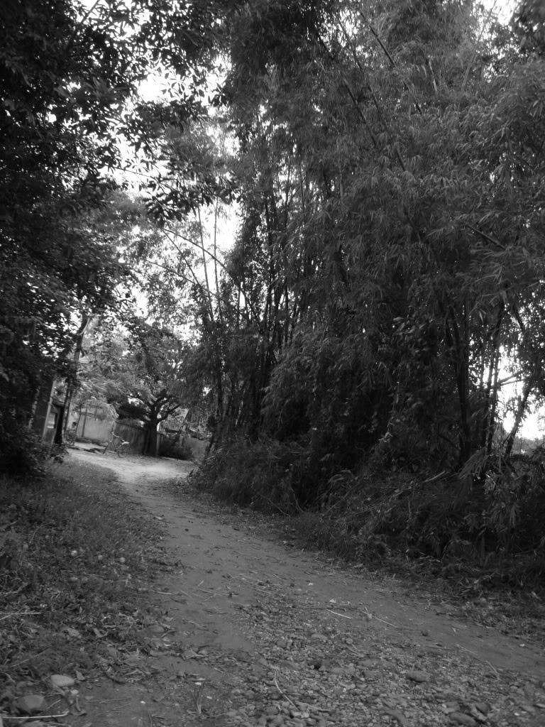 DSC00834.jpg