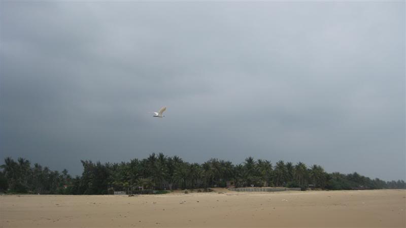 IMG_4821Medium.jpg