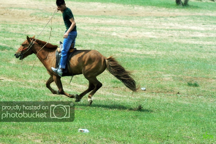 IMG_7849_zps6e4d8a5d.jpg