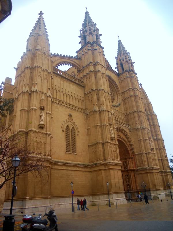 DSCN6691.jpg