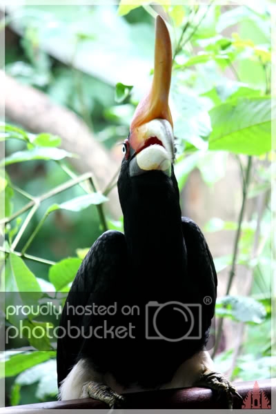 birdpark38.jpg