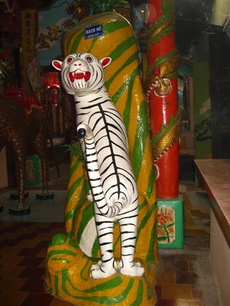 IMG_6166Medium.jpg