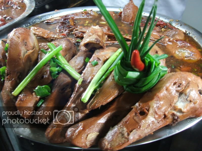 DSCF8108.jpg
