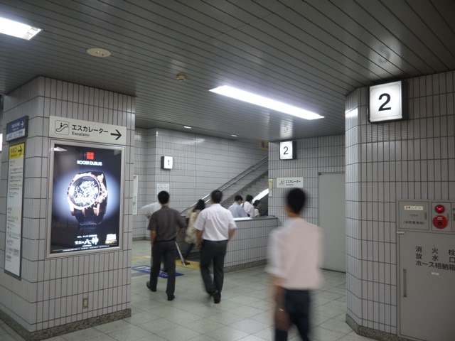 SAM_3496.jpg
