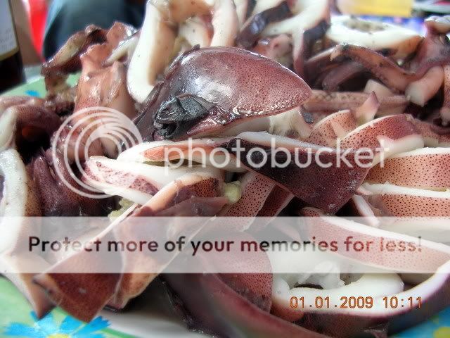 DSCN7700.jpg