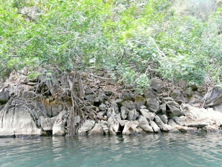 P1050531.JPG