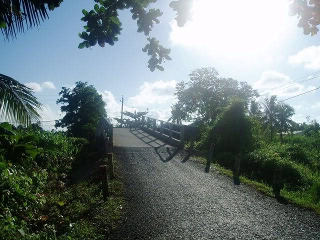 P1010231.jpg