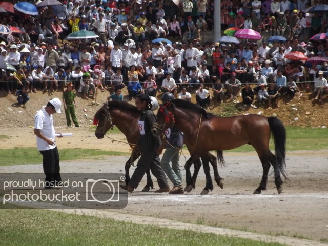 DSCF1246.jpg