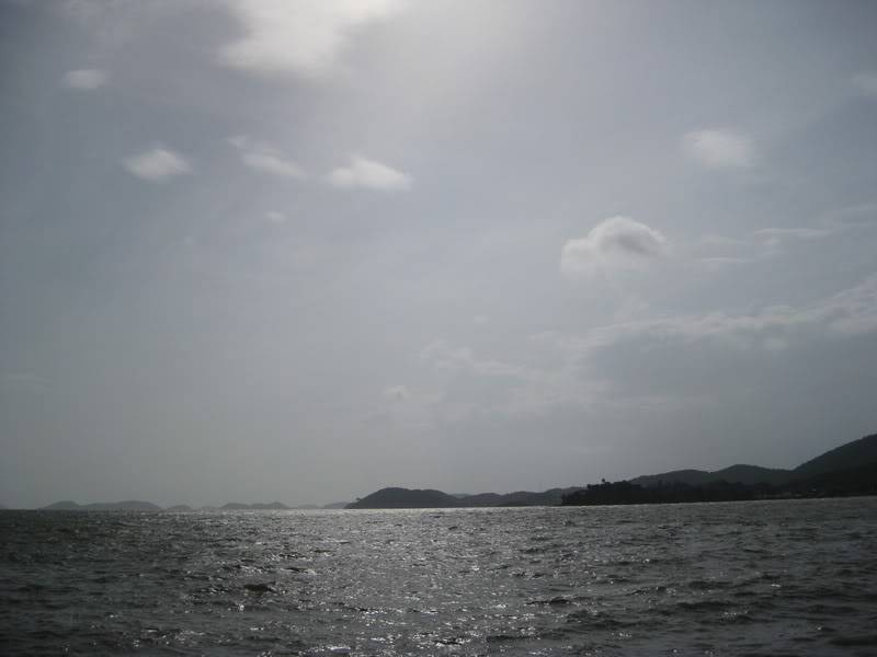 IMG_0509_resize.jpg