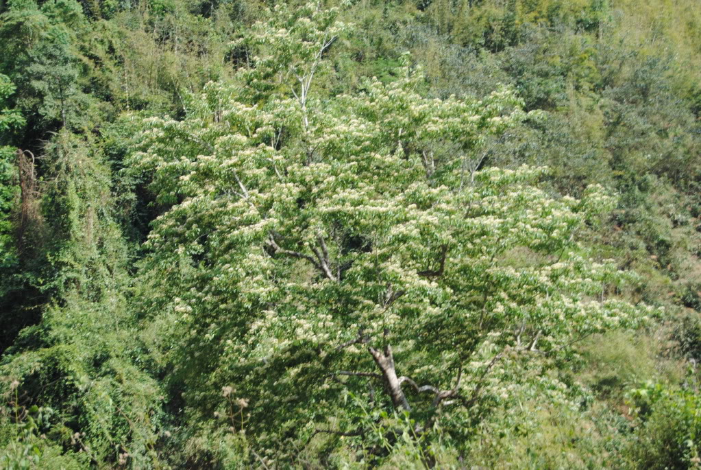 DSC_0102.jpg
