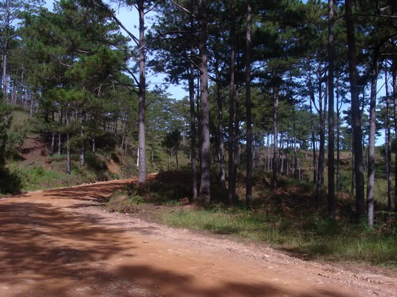 DSC04515.jpg