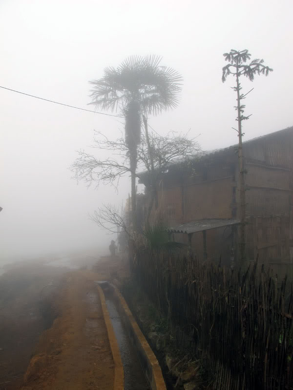 HongNgai2011270.jpg