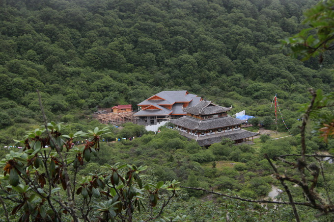IMG_9472.jpg