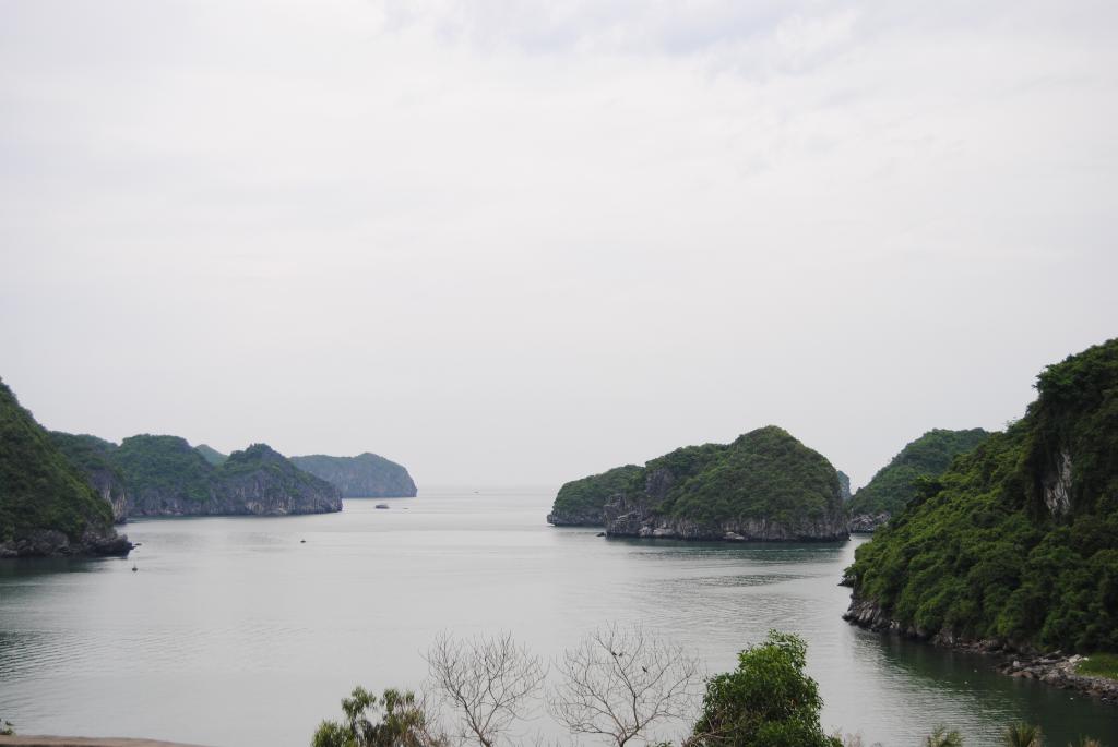 DSC_0048.jpg