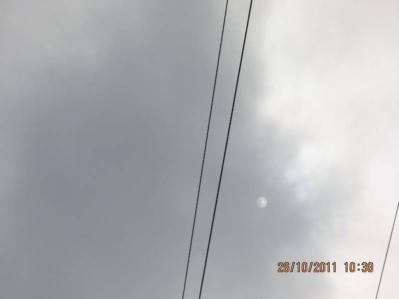 IMG_0684.jpg