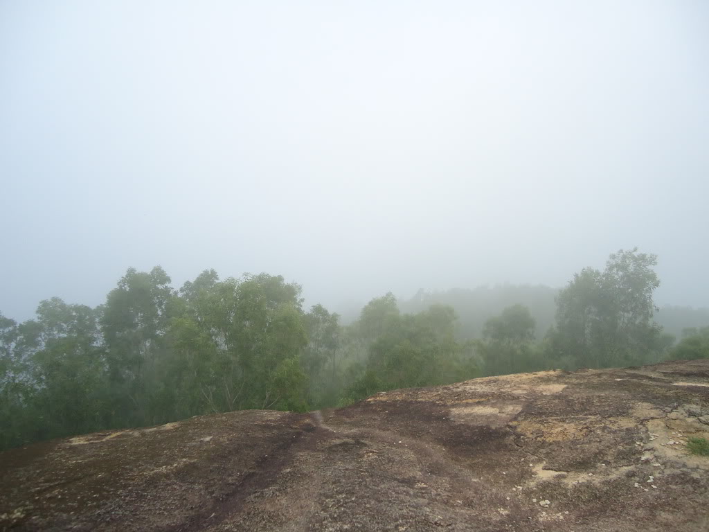 DSC02282.jpg