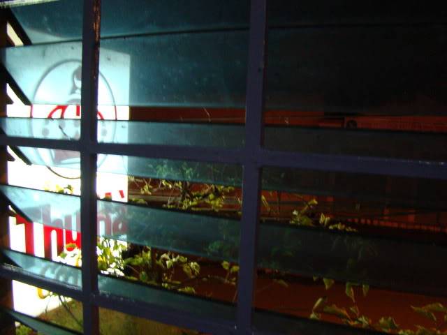 DSC00907.jpg