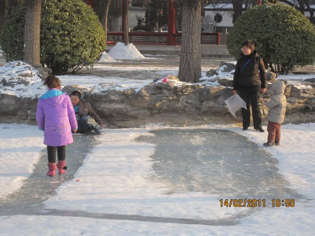IMG_6041.jpg