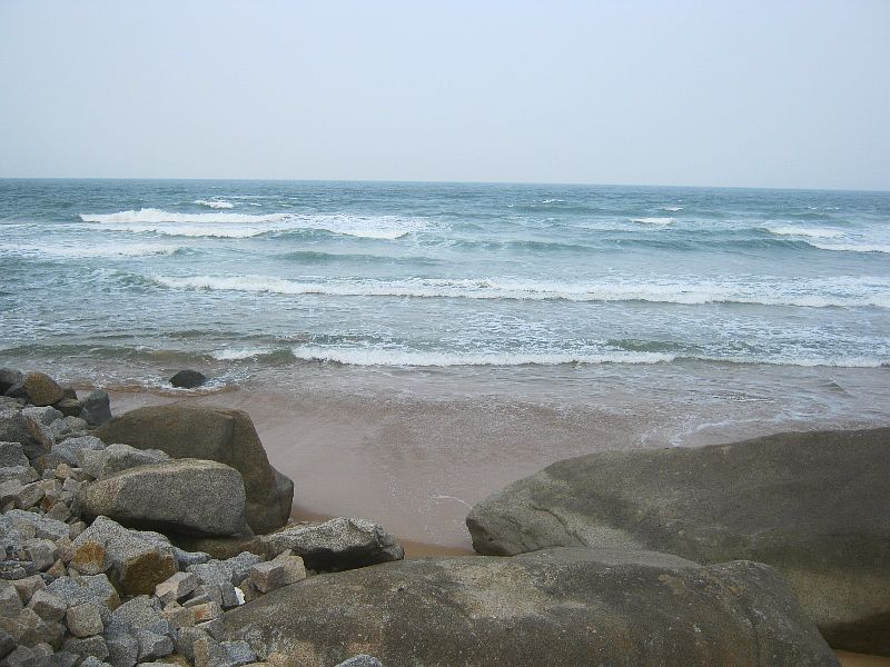 IMG_7515.jpg