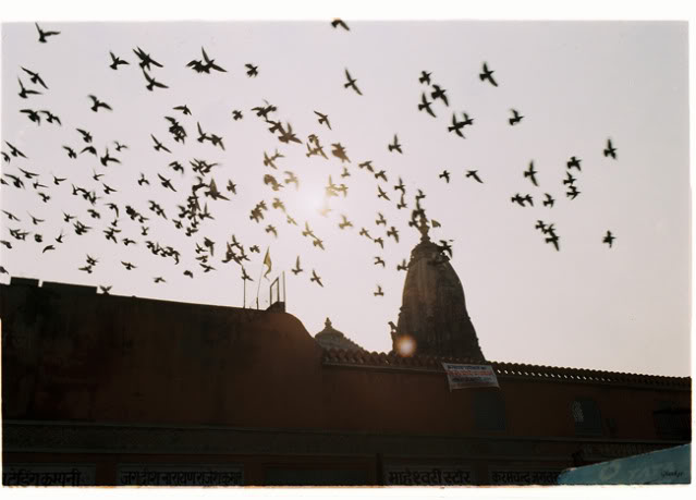 Jaipur217.jpg