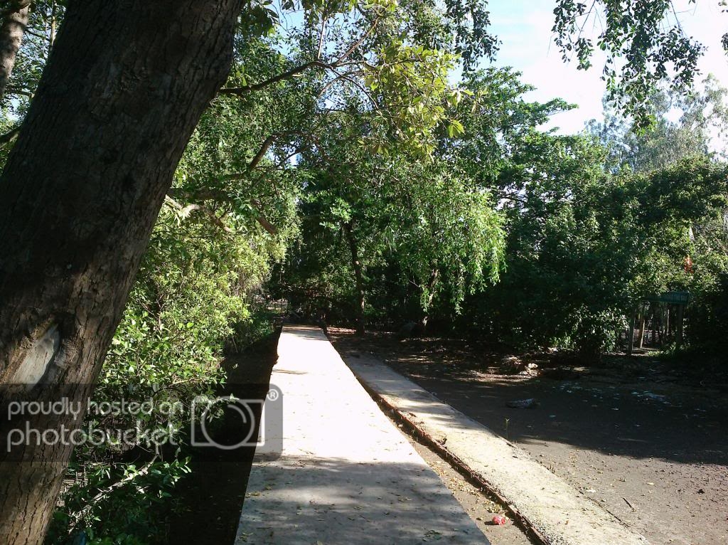 257_zps7819b9c0.jpg