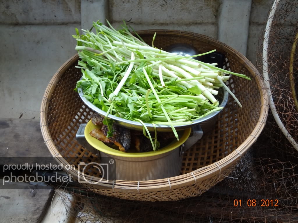DSC00166.jpg