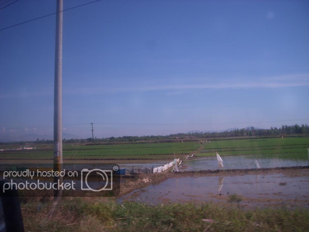 DSCN5611_zps196f7f42.jpg
