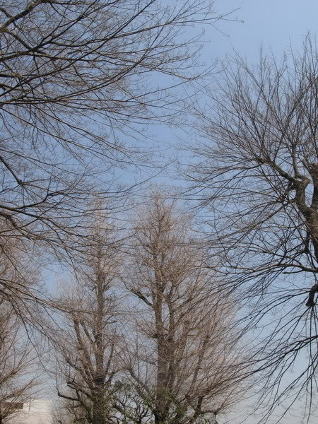 IMG_2220_resize.jpg