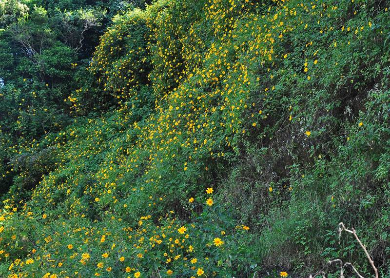 DSC_8451.jpg