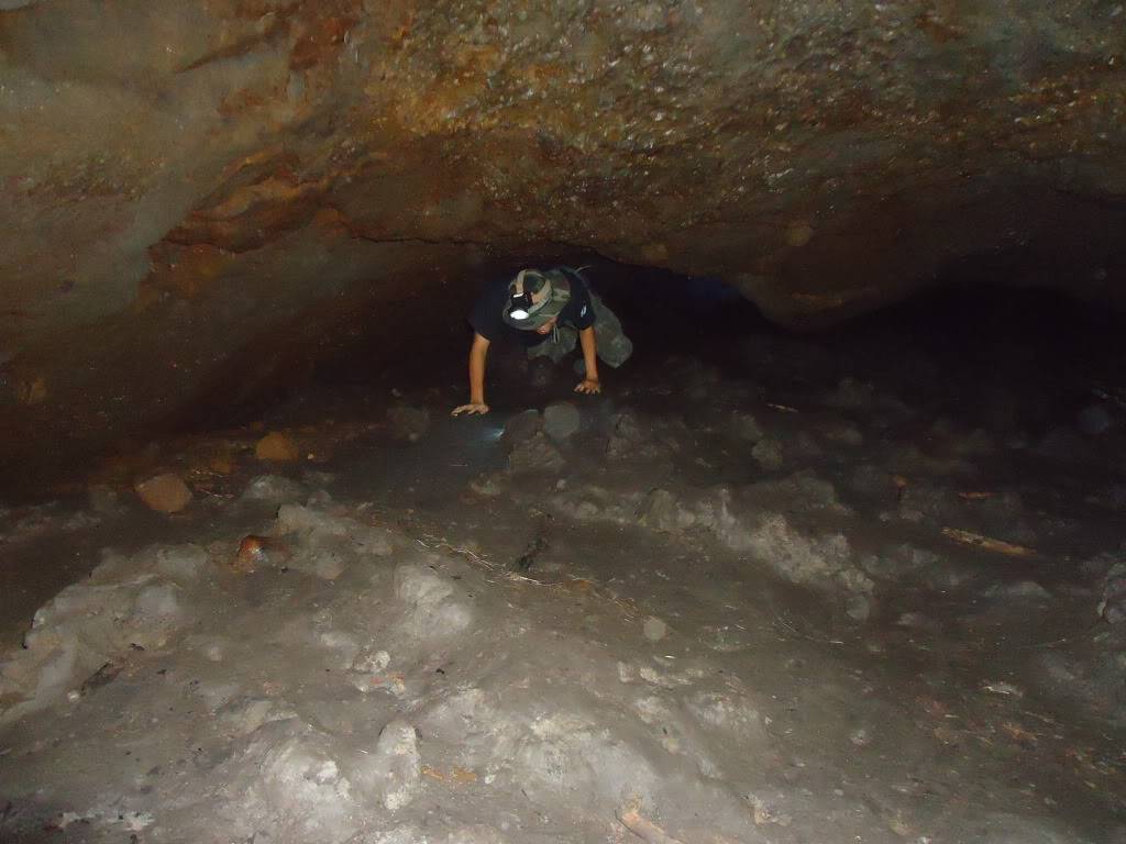 DSC01203.jpg
