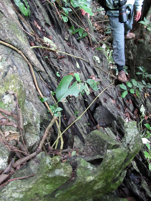 IMG_2163.jpg