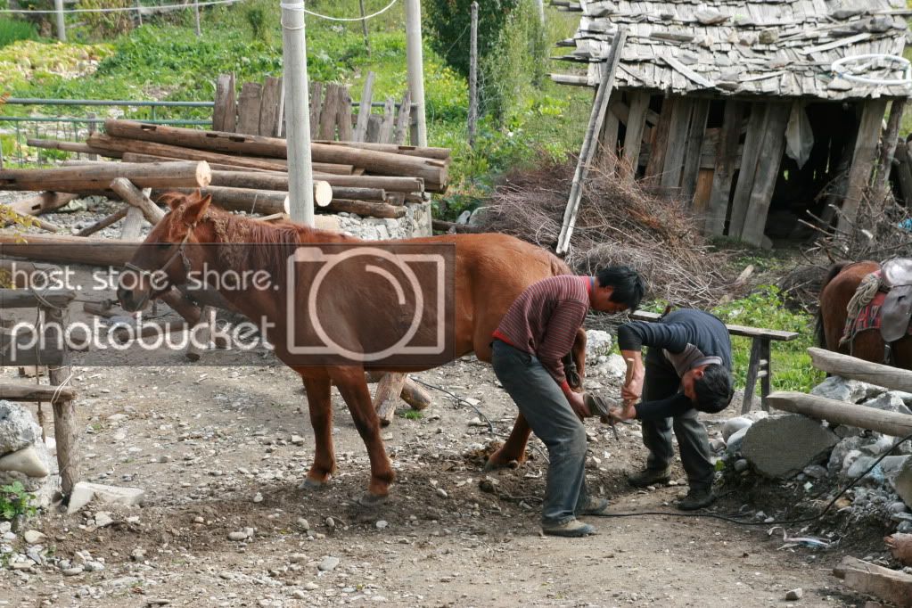 IMG_2807.jpg