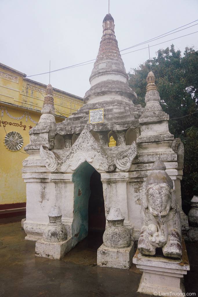 DSC00772.jpg