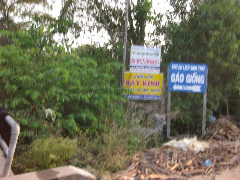 DongThapTET2011248.jpg
