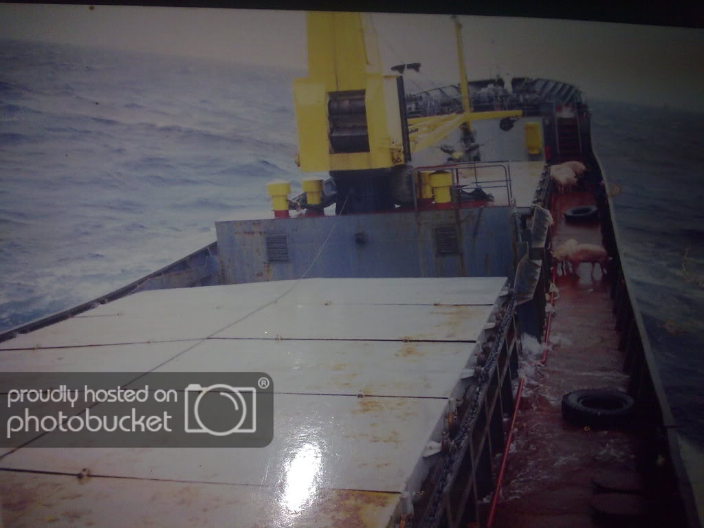 Hnhnh011.jpg