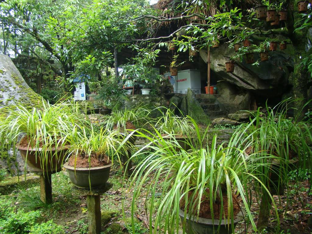 DSC09470.jpg