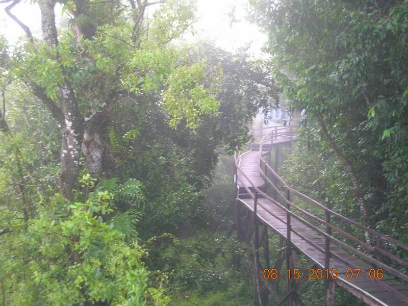 DSCN8987.jpg