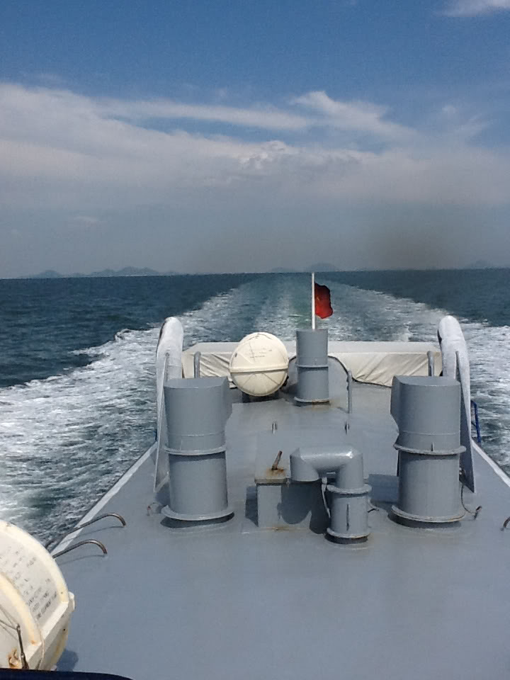 d02a663e.jpg