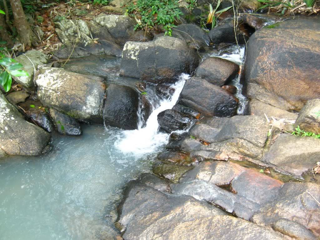 IMG_7136.jpg