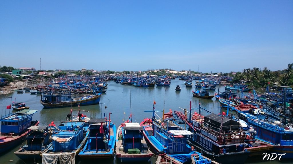 DSC_3818.jpg