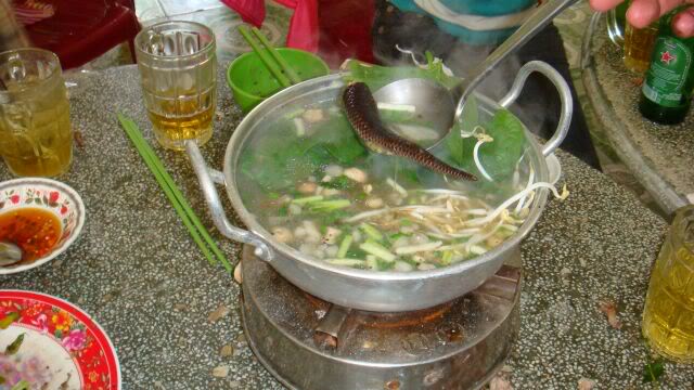 DSC06094.jpg
