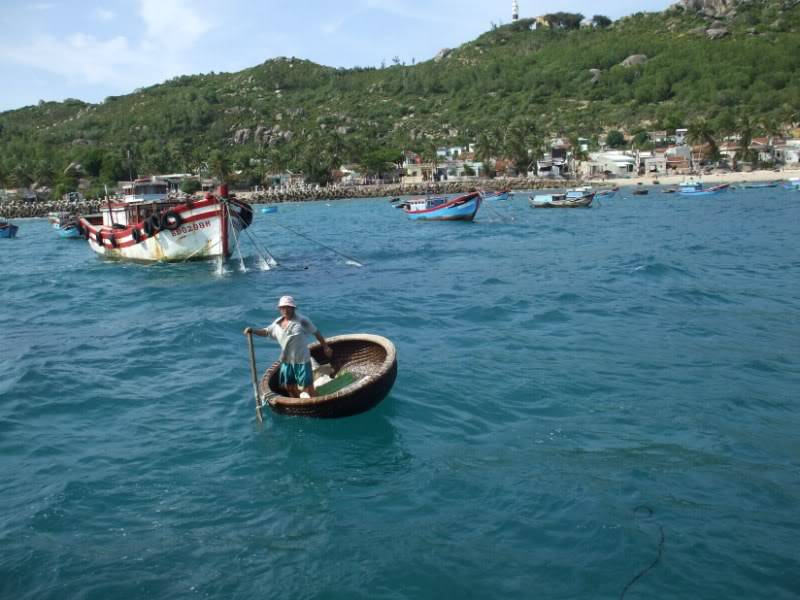 DSCF7908800x600.jpg
