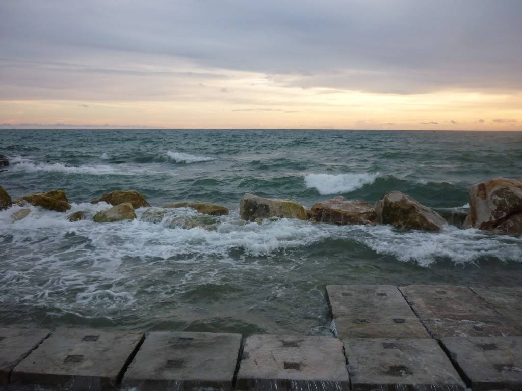 P1030731.jpg