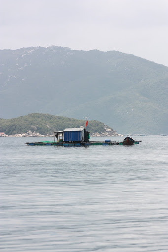 IMG_1207.JPG